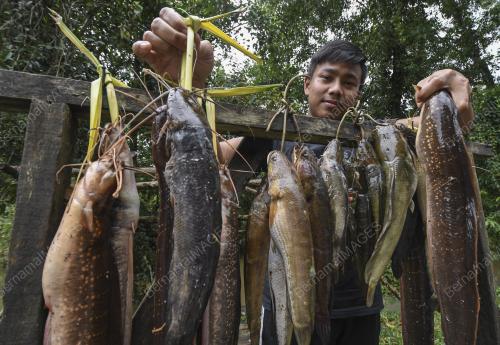 KB04_02122019_IKAN_DARAT