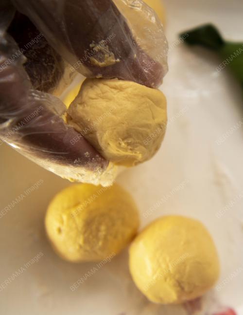 MUSANG KING BERENDAM