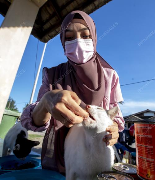 NOR IZYAN SYAHIDA ROSLI