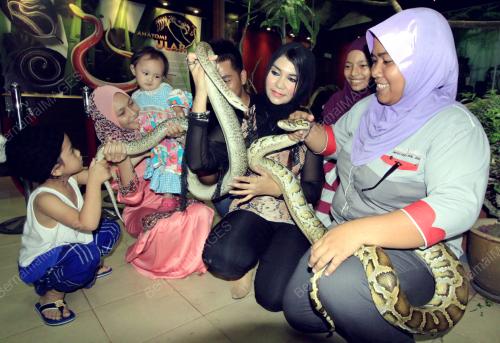 KB04_04112014_GADIS_ULAR