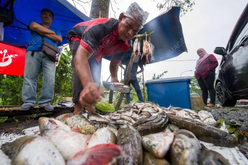 KB04_06122018_IKAN_DARAT