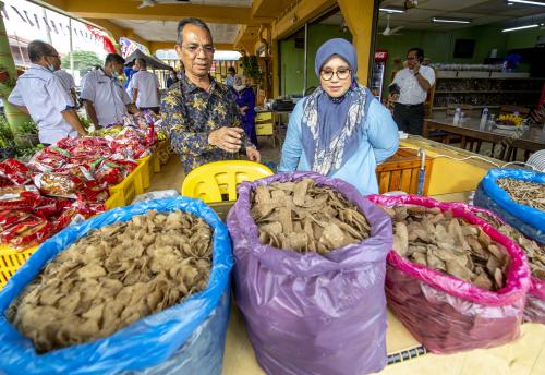 DATUK MAS ERMIEYATI SAMSUDIN