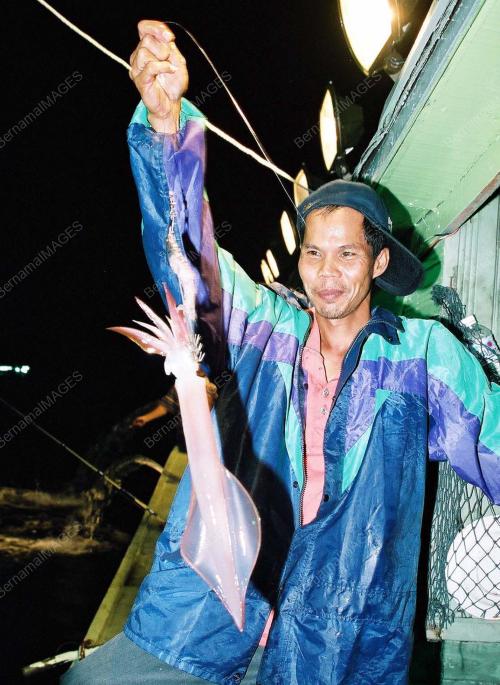 PESTA MENCANDAT SOTONG