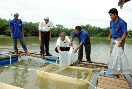 PROGRAM MOTIVASI PEMBANGUNAN PERIKANAN