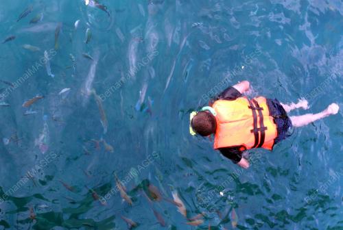 EKSPLORASI PULAU 2006