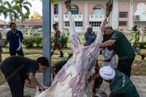 MAJLIS IBADAT KORBAN HARI RAYA AIDILADHA