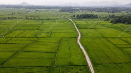 SAWAH PADI KAMPUNG ALOR BAKAT
