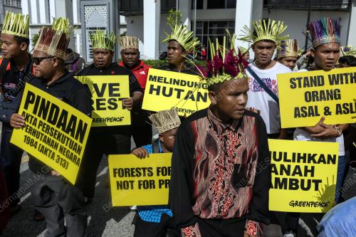 MASYARAKAT ASLI SUKU TEMIAR TANAH ADAT KELAIK