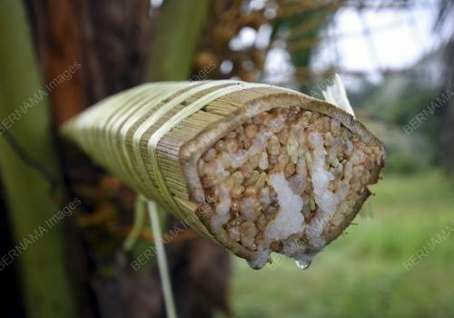 AIR NIRA KELAPA