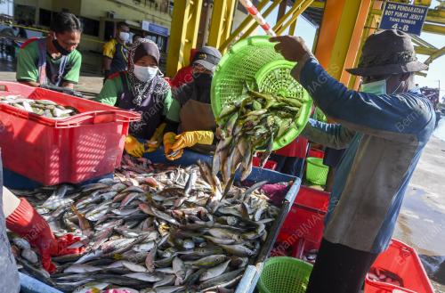 BEKALAN IKAN