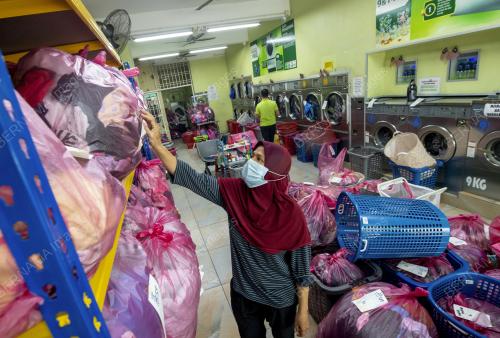 DOBI MUSIM TENGKUJUH
