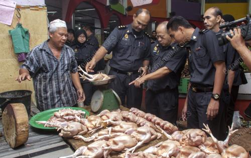 KB04_12072016_HARGA_AYAM