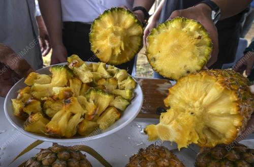 NANAS COBEK