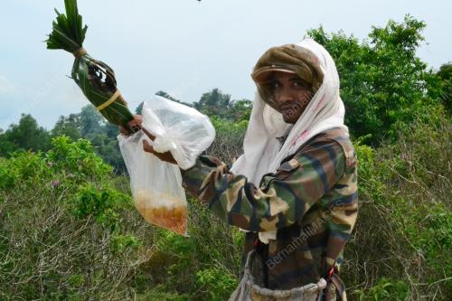 KB04_14072016_MADU_LEBAH