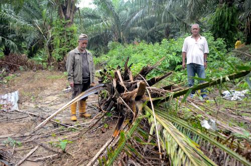 PENDUDUK KAMPUNG BUKIT JERING