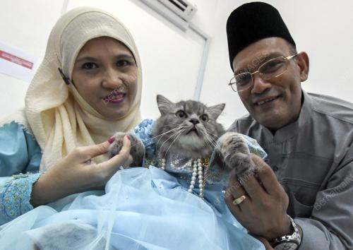 KB04_15072018_KUCING_BN201807143128