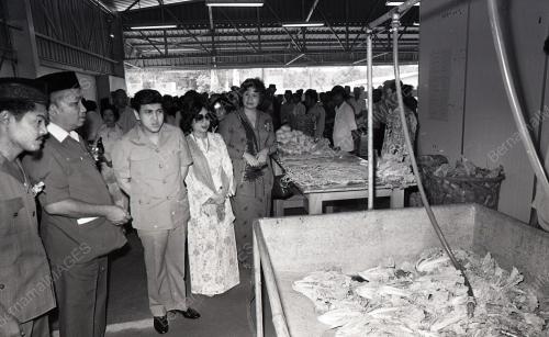 BILIK SEJUK FAMA