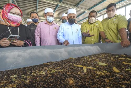DATUK SERI TUAN IBRAHIM TUAN MAN