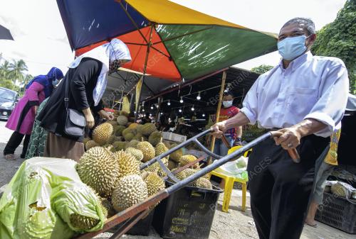 DURIAN LELONG