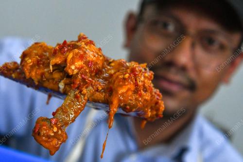 SAMBAL BUDU DURIAN