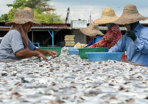 KB04_20012016_IKAN_MASIN