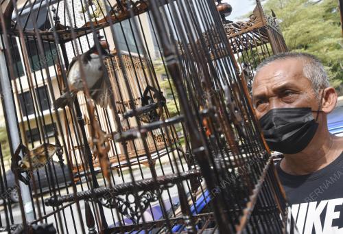 PENGASUH BURUNG CANDIK