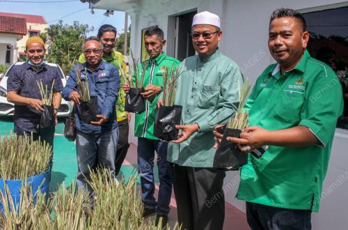 SERAI KOMERSIAL