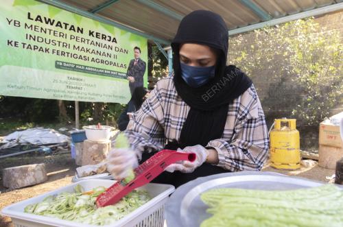 KEREPEK PERIA BERPERISA