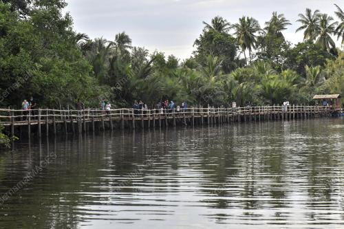 KAMPUNG PULAU TENGAH