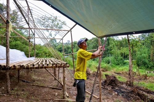BANGSAL MUSIM BANJIR