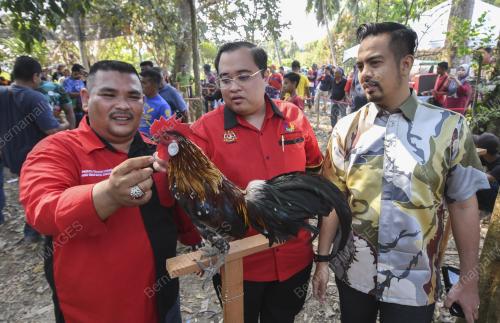 KB04_23032019_AYAM_BN201903193857