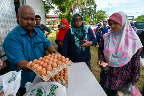 JUALAN AGRO MADANI