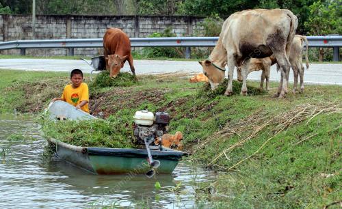 KB04_24012017_BANJIR