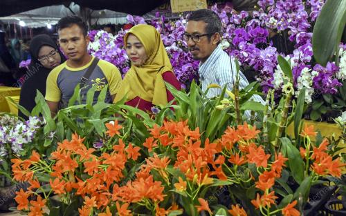 KB04_24032018_ORKID_BN201803222724