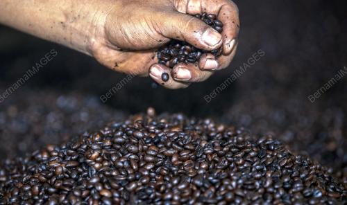 KB04_25072019_KOPI