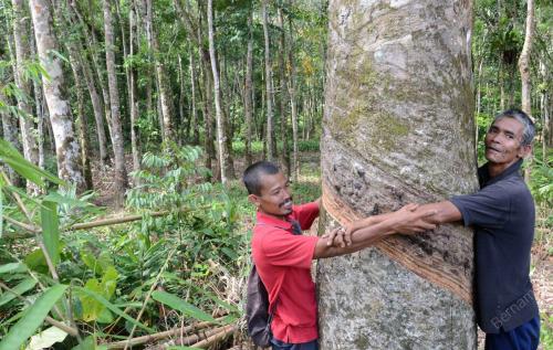 LADANG RAKYAT
