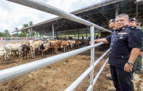KB04_30092019_LEMBU_BN201909302719