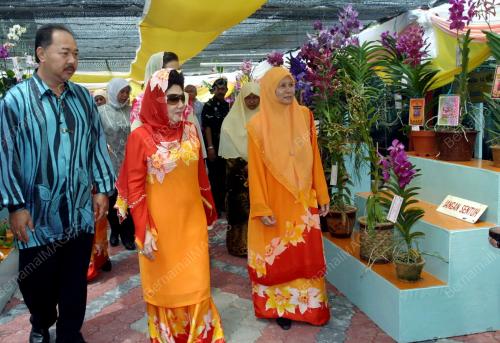 TENGKU ANIS TENGKU ABDUL HAMID