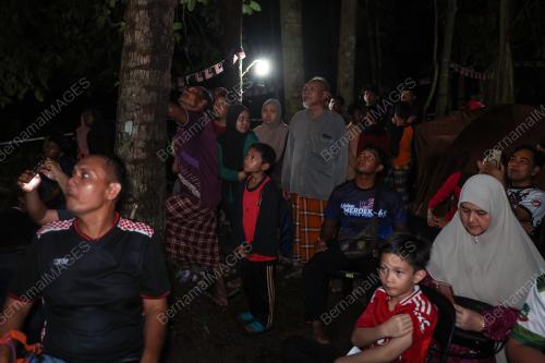 NIGHT ON TREE