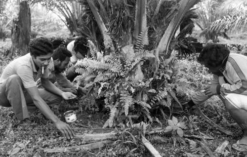 KB05_02032015_LADANG_SAWIT
