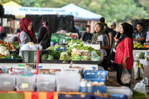 TINJAU HARGA