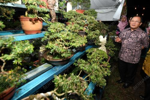 PESTA ORKID, FLORA DAN HERBA