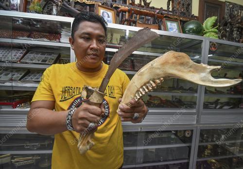 MOHAMAD FAUZI KAMARUDDIN
