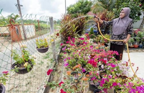 NURSERI BUNGA SEMASA PKP