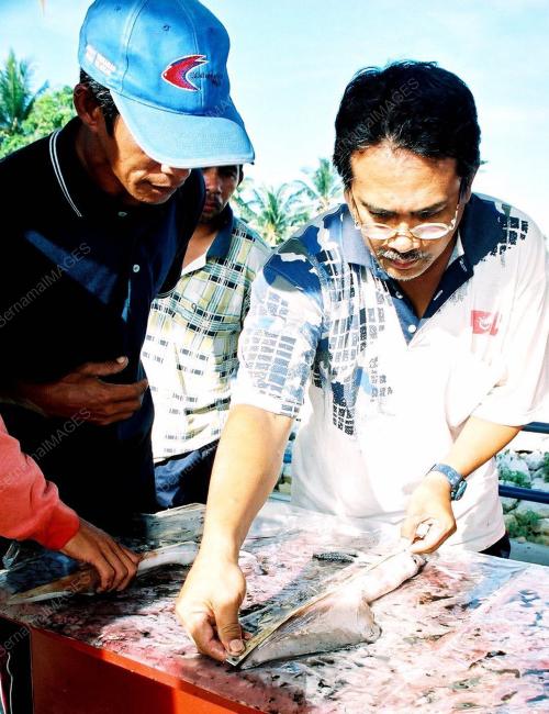 PESTA MENCANDAT SOTONG