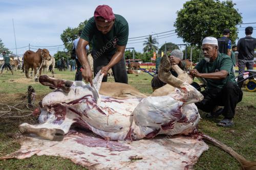 MAJLIS IBADAT KORBAN HARI RAYA AIDILADHA