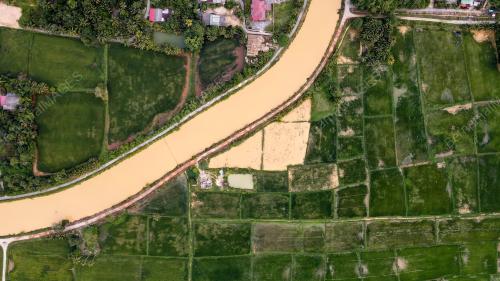 SAWAH PADI KAMPUNG ALOR BAKAT