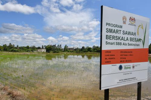 PROGRAM SMART SAWAH BERSKALA BESAR
