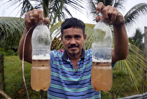 AIR NIRA KELAPA
