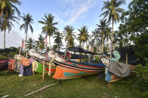 PERAHU KOLEK MUSIM BOH